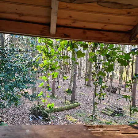 Cabin 1 Кемпинг