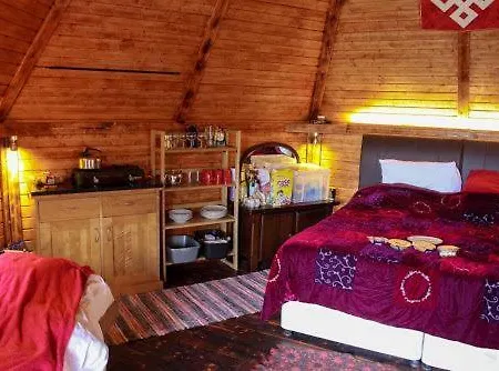 Cabin 1