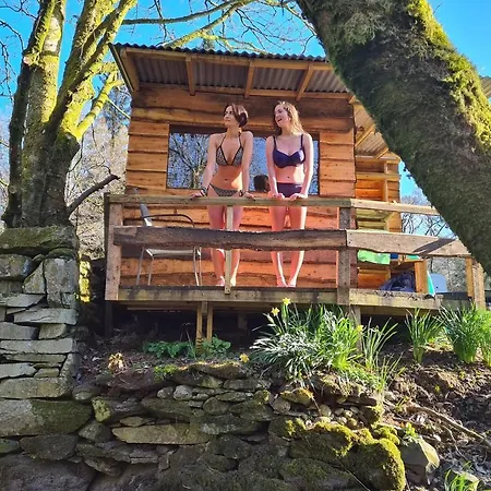 Cabin 1 *